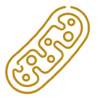 Clean-Mitochondria